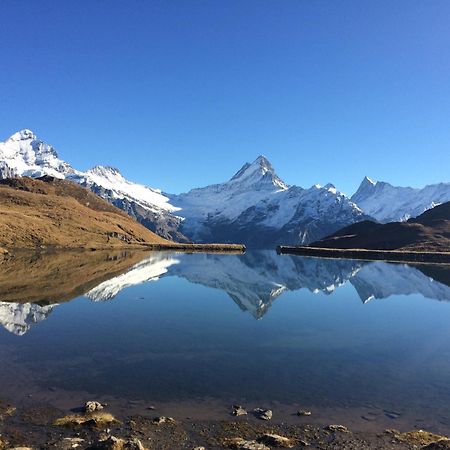 Chalet Verbrunnenhaus Grindelwald Lägenhet Exteriör bild