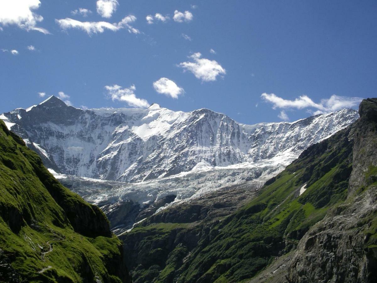 Chalet Verbrunnenhaus Grindelwald Lägenhet Exteriör bild