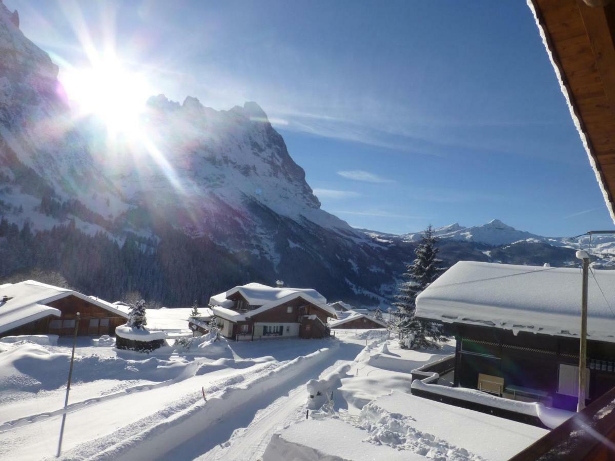 Chalet Verbrunnenhaus Grindelwald Lägenhet Exteriör bild