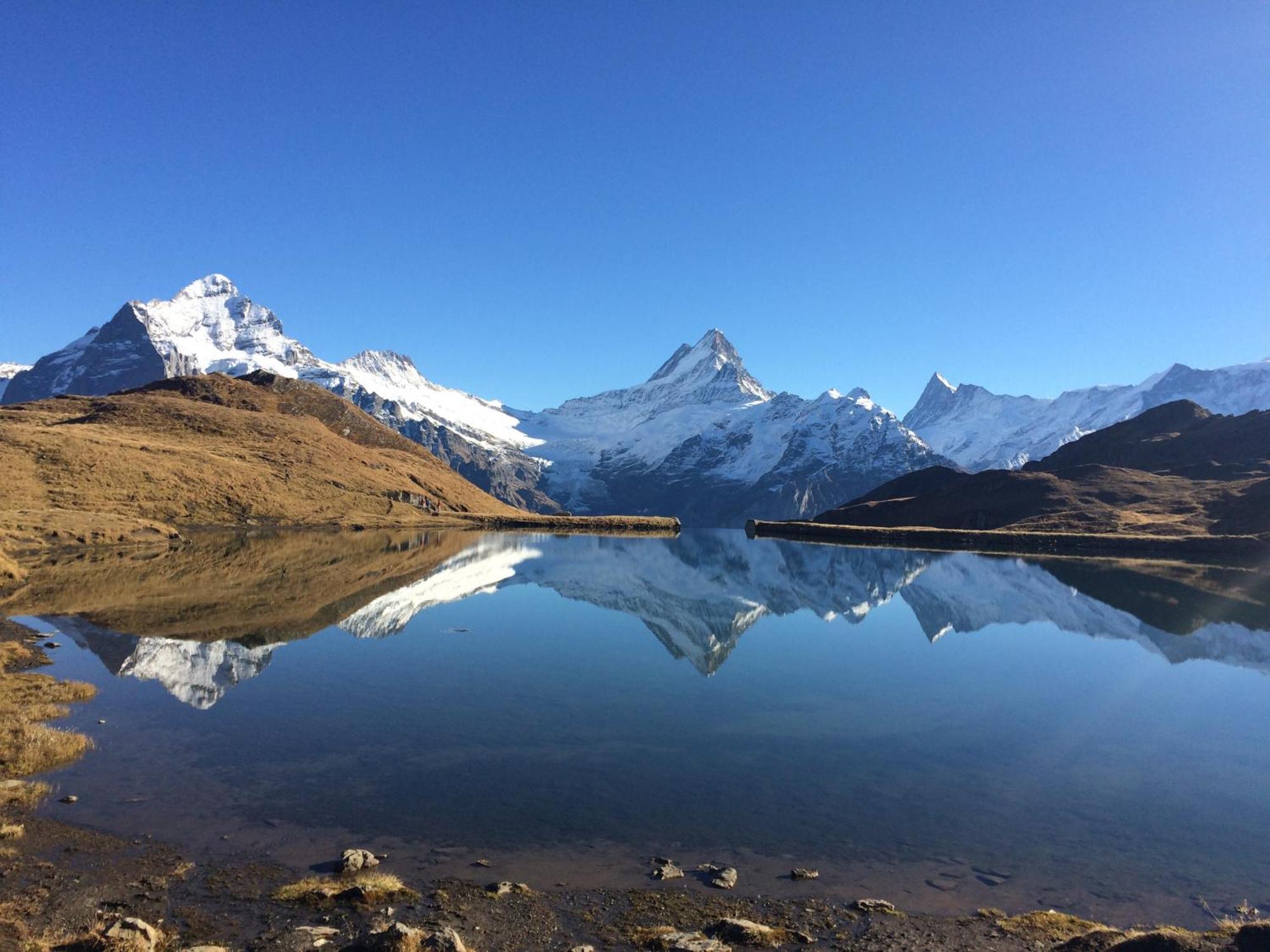 Chalet Verbrunnenhaus Grindelwald Lägenhet Exteriör bild