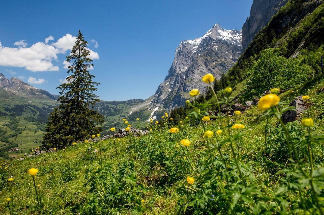 Chalet Verbrunnenhaus Grindelwald Lägenhet Exteriör bild