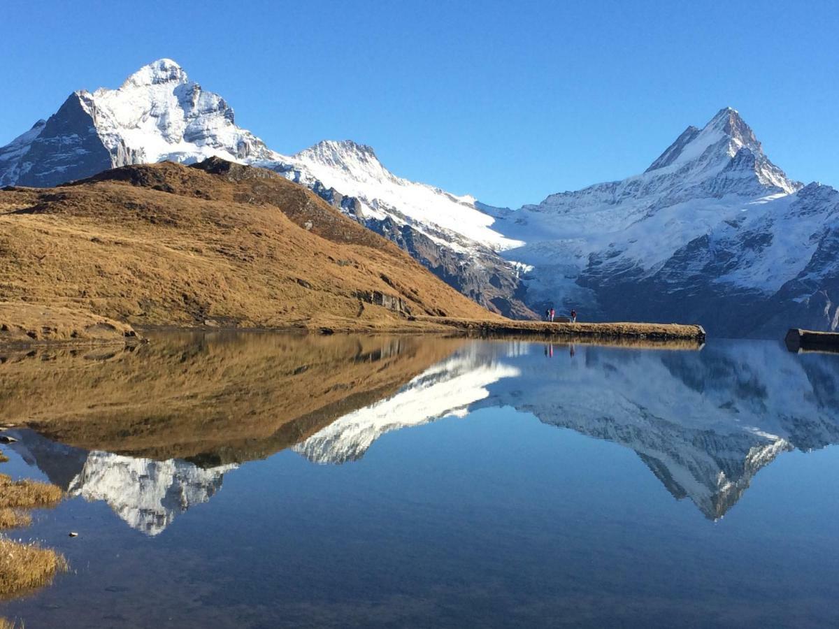 Chalet Verbrunnenhaus Grindelwald Lägenhet Exteriör bild